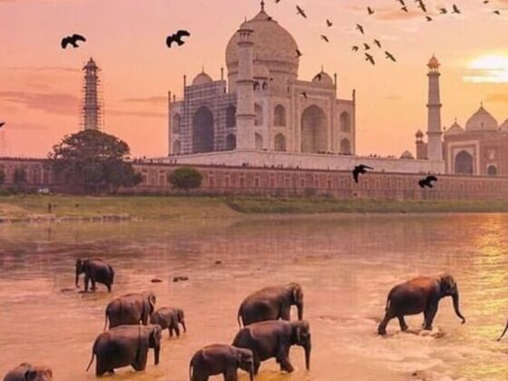 Best Places to Visit in India in July