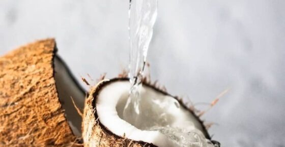 Benefits of Coconut Water for Skin
